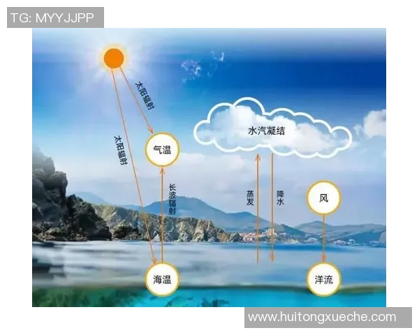 竞技体育的全球发展趋势与跨文化交流的深度影响分析 竞技体育的全球发展趋势与跨文化交流的深度影响分析