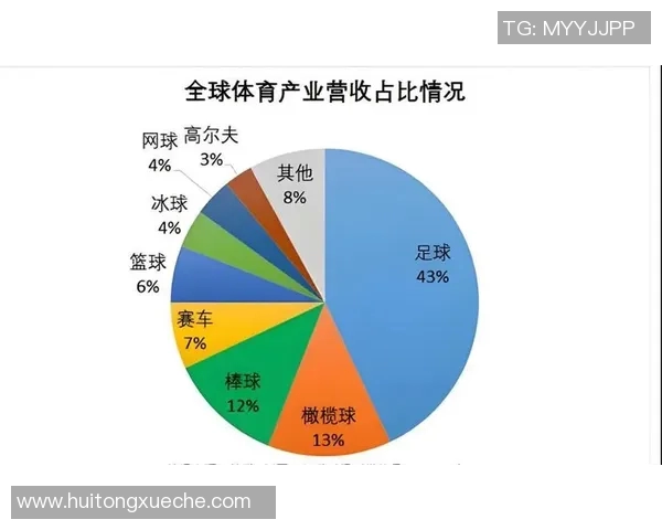 运动文化视角下的全球体育变革与社交互动对现代社会的深远影响分析