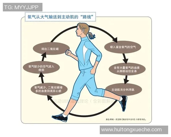 有氧运动对健康的全面益处与科学锻炼方法解析