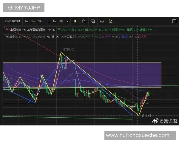 南京羽毛球队与成都羽毛球队赛后复盘分析比赛节奏与战术对决
